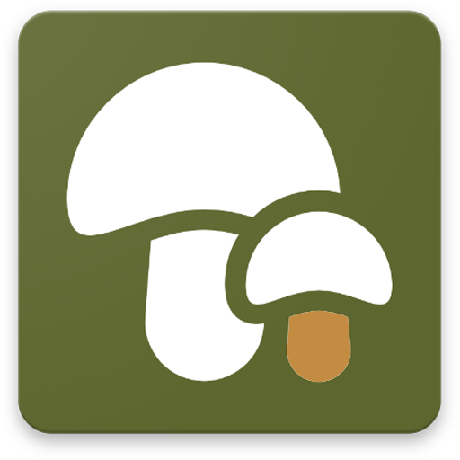 LOGO APP