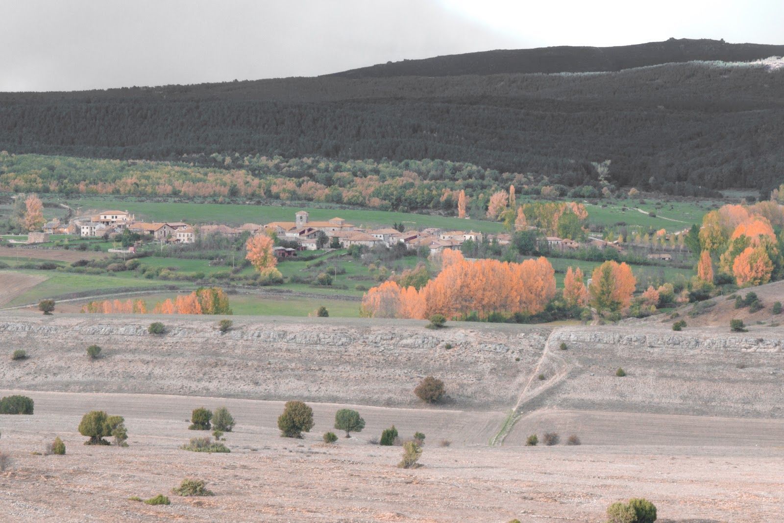 aldea del pinar